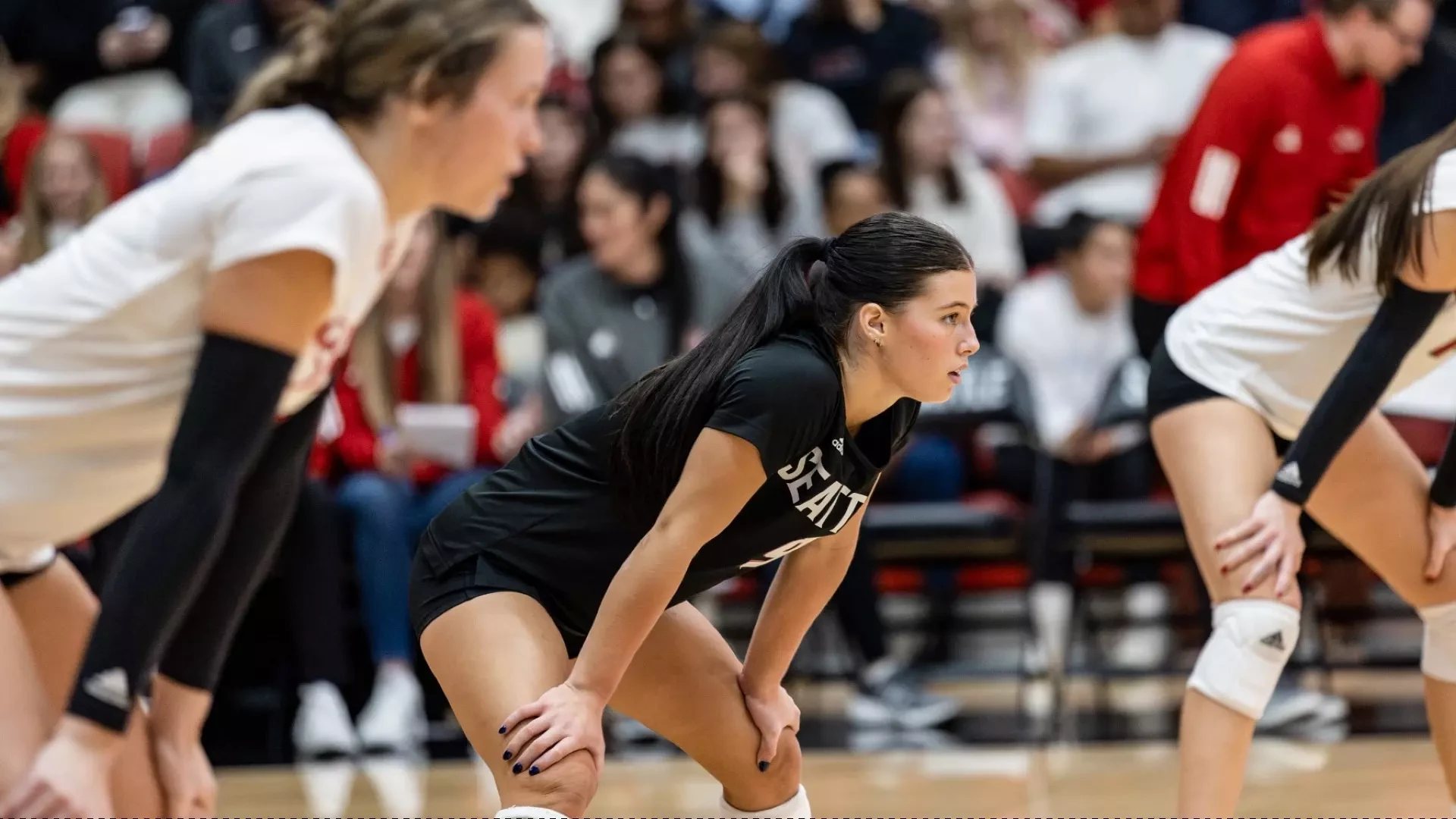 Seattle U Stifled by UT Arlington - Seattle University Redhawks ...
